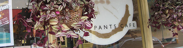 ants pants